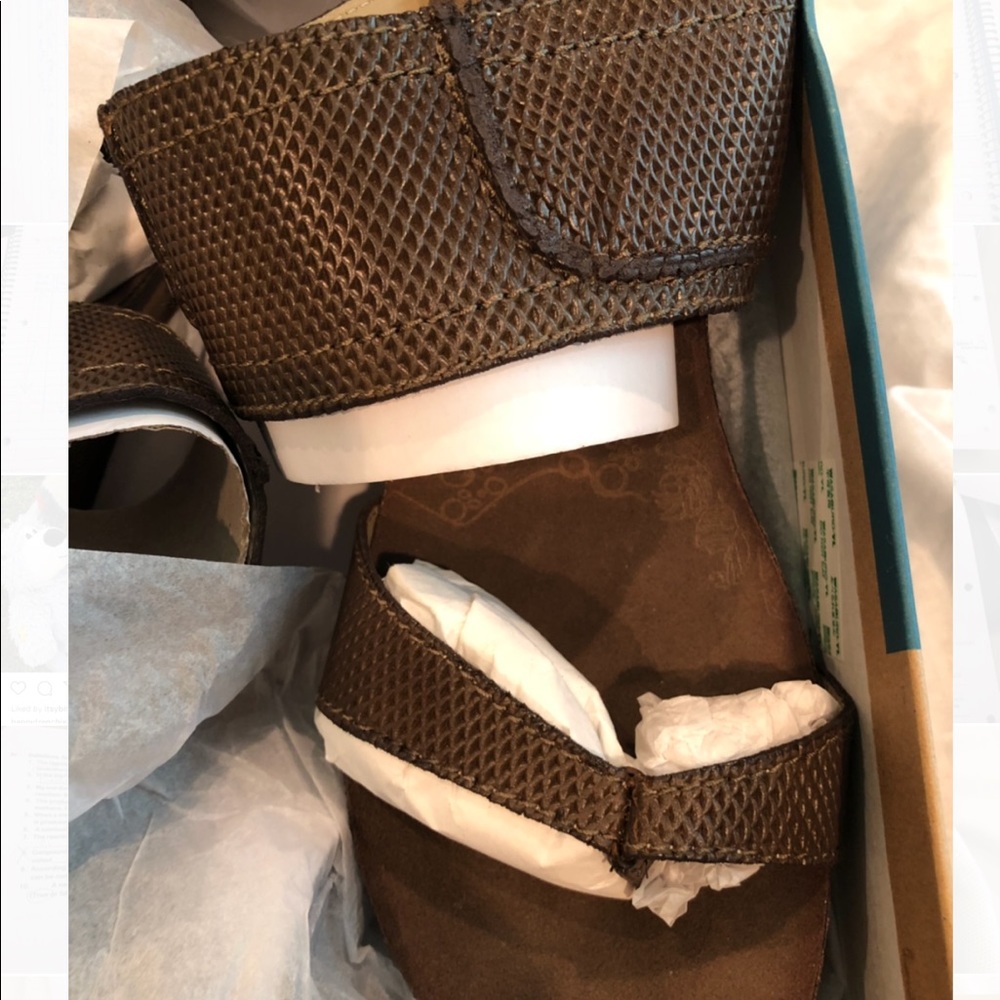 OTBT Brookfield wedge